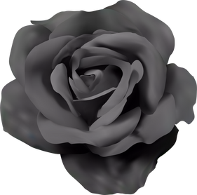 3D Black Rose