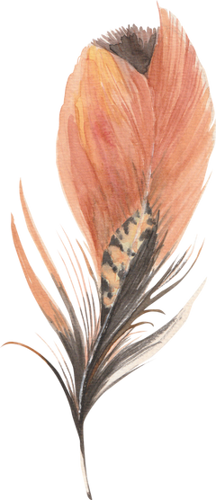 Watercolour Feather